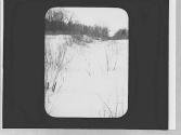 Snow scene
