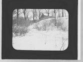 Snow scene