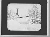 Snow scene