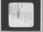 Snow scene