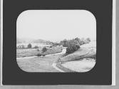 View of a brook