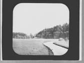View of a brook
