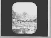 Bridge & falls
