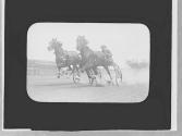 The famous trotter Lou Dillon and his running mate....