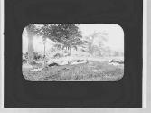 George Eastman picnicing with May Gifford, Adirondacks Trip