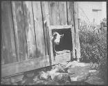 Ostrum's Pig #1