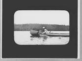 Moose swimming beside canoe