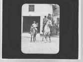 Drydens on horses
