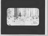 Snow scene