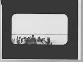 Automobile on a ferry, Petersham Trip