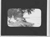 Woman near a lake, Shore Dinner