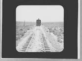 Train, Arizona Trip