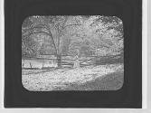 Woman & split rail fence