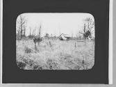 Fields & shed