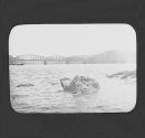 Hawkesbury Bridge, N.S.W.