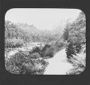 Cataract Gorge