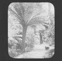 Denison Gorge, near Launceston