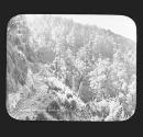 N.E. Dundas Tramway