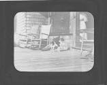 Dog on porch, Oak Lodge Trip