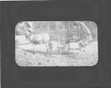 Woman in carriage, Oak Lodge Trip