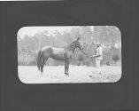 Man with horse, Oak Lodge Trip