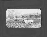 Two African American men picnicing, Oak Lodge Trip