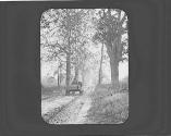 Horse cart on road, Oak Lodge Trip