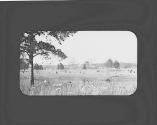 Field and houses, Oak Lodge Trip