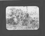 Native hunters sitting on elephant