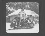 Native man on elephant