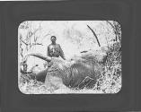 Native man standing next to dead elephant