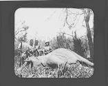Three natives and on white man standing next to dead elephant