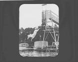 Horse jumping into water
