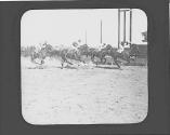 Horses running