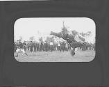 Horse flipping backwards