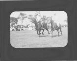 Men running horses