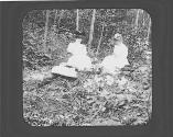 Women picnicing in woods, Petersham Motor Trip