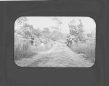 Women picnicing at roadside, Petersham Motor Trip