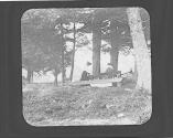 Women laying picnic, Petersham Motor Trip