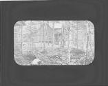 Log cabin in woods, Adirondacks Trip