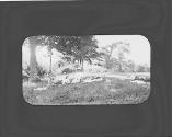 Couple at picnic, Adirondacks Trip