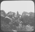 Bermuda. South Shore.