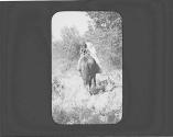 Loaded pack horse, Wyoming Trip