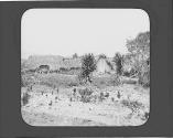 Donkey near grass huts
