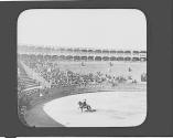 Horse in ring-bullfights