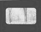 East Avenue in snow