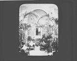 Interior of Conservatory with plants