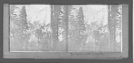 Yosemite Fall