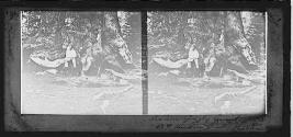 D. P. Thurston at the base of Grizzly Giant, in the Mariposa Grove