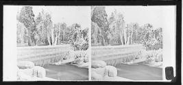[Winter scene]
